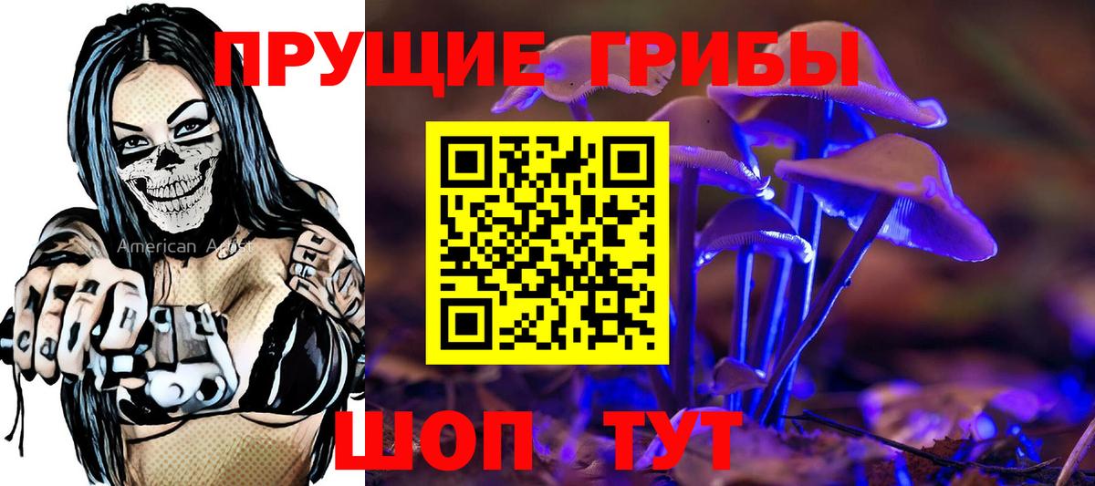 Амурск  купить закладку  Вход с VPN  Галлюциногенные грибы Psilocybe  Псилоцибиновые грибы GOLDEN TEACHER 